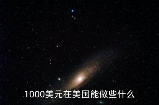 1000美元在美國(guó)能做些什么