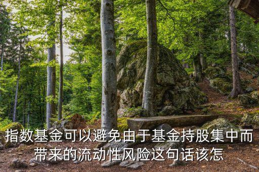 指數(shù)基金可以避免由于基金持股集中而帶來的流動性風(fēng)險(xiǎn)這句話該怎