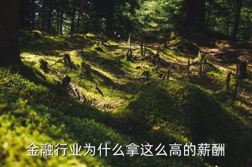 為什么金融業(yè)工資那么高，金融行業(yè)為什么拿這么高的薪酬