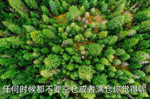 任何時(shí)候都不要空倉(cāng)或者滿倉(cāng)你覺得呢