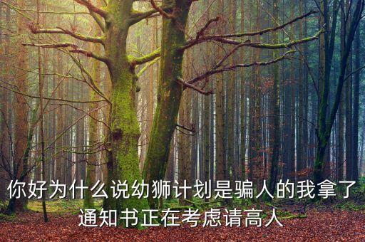 你好為什么說(shuō)幼獅計(jì)劃是騙人的我拿了通知書(shū)正在考慮請(qǐng)高人