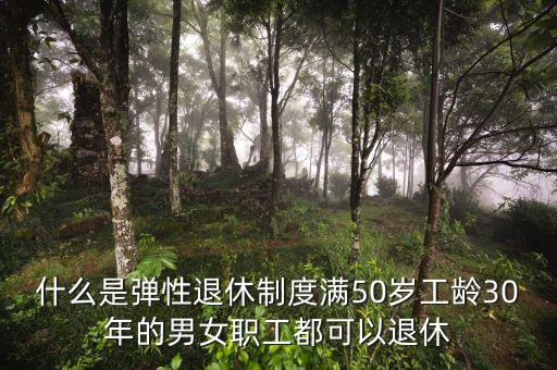 什么叫彈性退休制度，什么是彈性退休制度