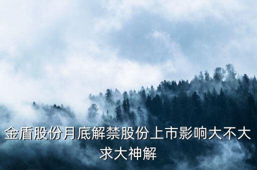 金盾股份月底解禁股份上市影響大不大求大神解