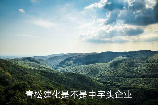 青松建化是做什么的，氫彈是什么做的