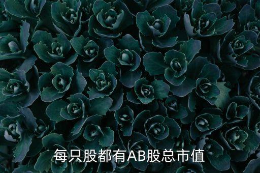 每只股都有AB股總市值