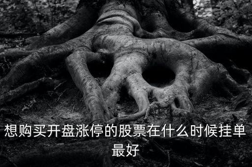 想購(gòu)買開盤漲停的股票在什么時(shí)候掛單最好
