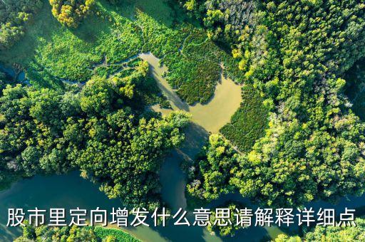 股市里定向增發(fā)什么意思請(qǐng)解釋詳細(xì)點(diǎn)