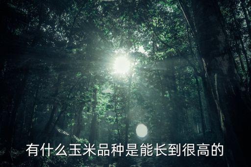 蛋白最高玉米是什么品種，求解玉米高蛋白