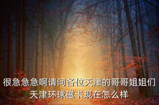 很急急急啊請問各位天津的哥哥姐姐們天津環(huán)球磁卡現(xiàn)在怎么樣