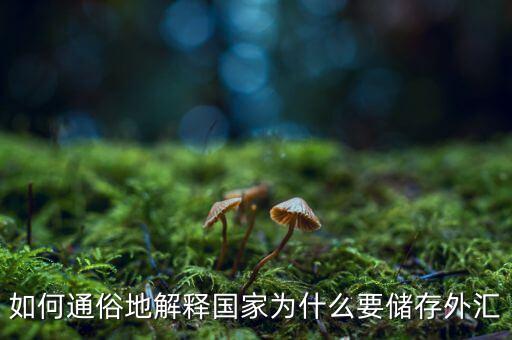 中國為什么要外匯儲備，中國為什么要大量儲備美金及其他國外匯