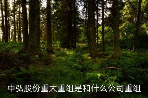 中弘股份是什么公司，中弘股分是從事甚么行業(yè)的