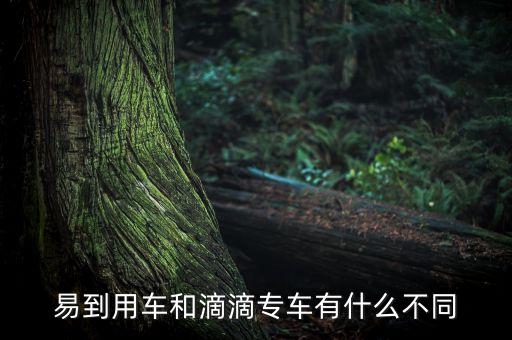 易到用車和滴滴專車有什么不同