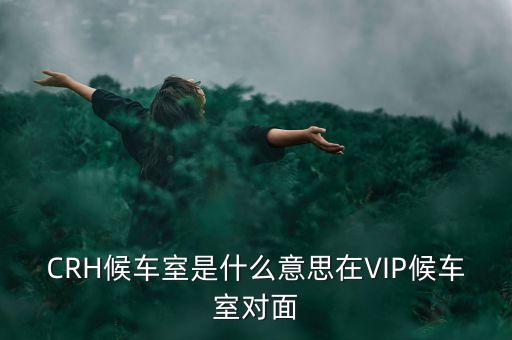 動車vip是什么意思，動車組vip餐是什么意思啊