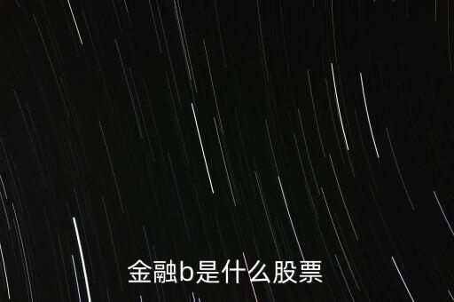 網(wǎng)金b是什么股，金融b是什么股票