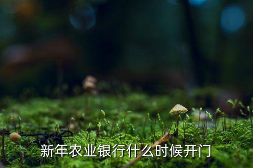 新農(nóng)銀行什么時候開業(yè)，中國農(nóng)業(yè)銀行什么時候開門
