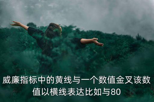 威廉指標(biāo)中的黃線與一個(gè)數(shù)值金叉該數(shù)值以橫線表達(dá)比如與80