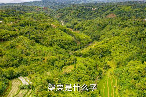 榘栗是什么字