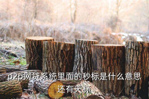 p2p搶標(biāo)是什么意思，P2P網(wǎng)貸平臺約標(biāo)是什么意思怎么約標(biāo)