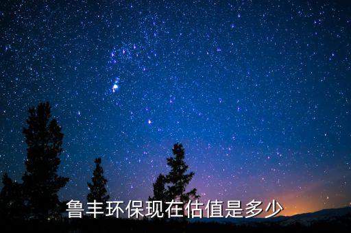 魯豐環(huán)?，F(xiàn)在估值是多少