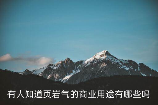 有人知道頁巖氣的商業(yè)用途有哪些嗎