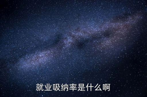 就業(yè)吸納率是什么啊