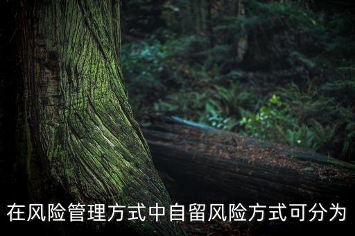 風(fēng)險(xiǎn)自留包括什么，在風(fēng)險(xiǎn)管理方式中自留風(fēng)險(xiǎn)方式可分為