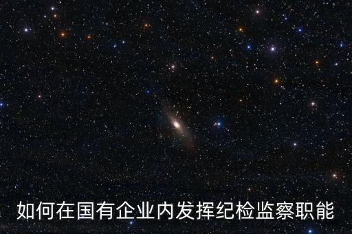 國企紀(jì)委2016應(yīng)該干什么，國企監(jiān)察部門的主要職責(zé)是什么