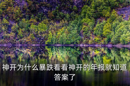 神開為什么暴跌看看神開的年報(bào)就知道答案了