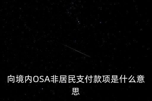 向境內(nèi)OSA非居民支付款項(xiàng)是什么意思