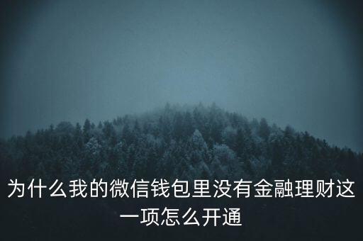為什么QQ錢包里沒有金融理財(cái)，為什么我的微信錢包里沒有金融理財(cái)這一項(xiàng)怎么開通