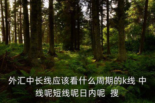 外匯中長(zhǎng)線應(yīng)該看什么周期的k線 中線呢短線呢日內(nèi)呢  搜