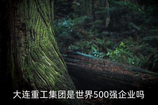 大連重工集團是世界500強企業(yè)嗎