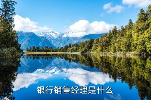 銀行銷(xiāo)售經(jīng)理是什么