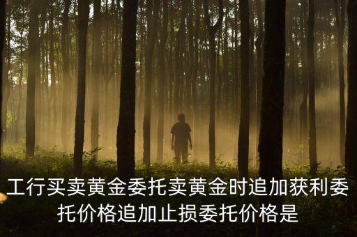 什么是止損委托，賬戶金開(kāi)倉(cāng)時(shí)獲利委托止損委托區(qū)別在哪什么意思