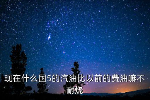 國五車燒什么油，國六國五的汽油和車是什么關系