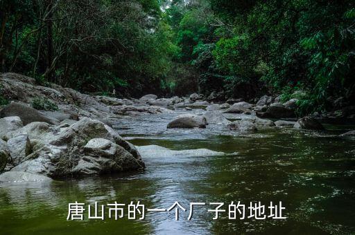 同方國芯的總部為什么在玉田縣，唐山市的一個廠子的地址