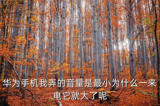 華為手機為什么巨大一成功，華為手機我弄的音量是最小為什么一來電它就大了呢