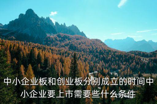 中小企業(yè)板什么時候開始的，那一年上市出現(xiàn)中小企業(yè)板