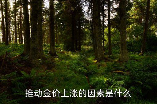黃金什么情況下漲，什么情況下黃金的價格會漲什么時候跌