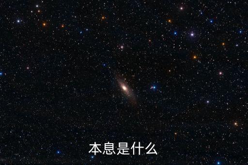 本息是什么