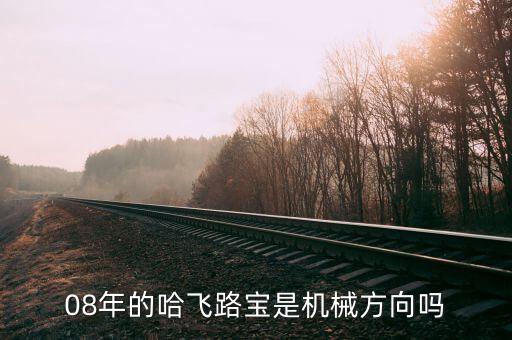 哈飛集團(tuán)用什么專業(yè)，08年的哈飛路寶是機(jī)械方向嗎