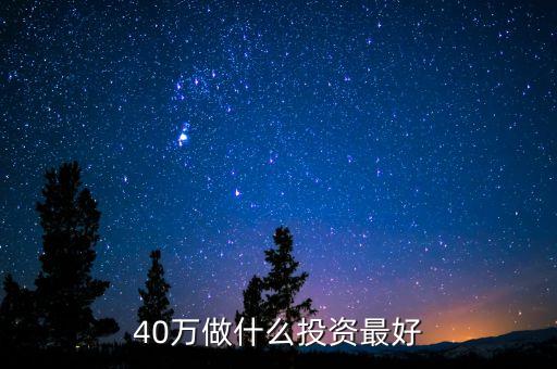 40萬(wàn)投資什么，有四十萬(wàn)可以投資一些什么項(xiàng)目我指的是事業(yè)性的不是股票之類的