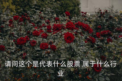 請(qǐng)問這個(gè)是代表什么股票 屬于什么行業(yè)