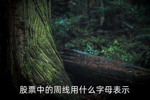 股票中的周線用什么字母表示