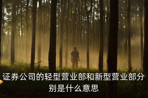 什么是輕型營業(yè)部，那些所謂大戶還會在證券公司的大戶室里進(jìn)行交易嗎會的話是為