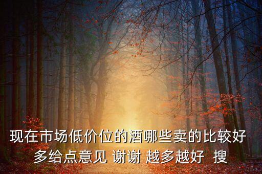 現(xiàn)在市場(chǎng)低價(jià)位的酒哪些賣的比較好 多給點(diǎn)意見 謝謝 越多越好  搜