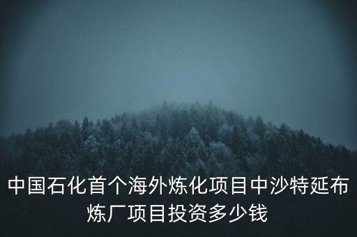 中國石化首個海外煉化項目中沙特延布煉廠項目投資多少錢