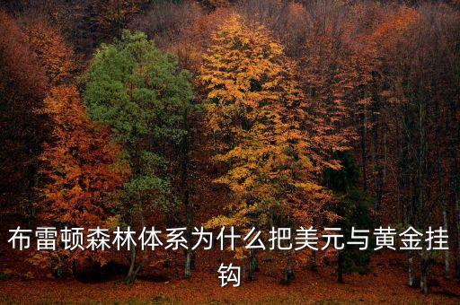 布雷頓森林體系為什么把美元與黃金掛鉤