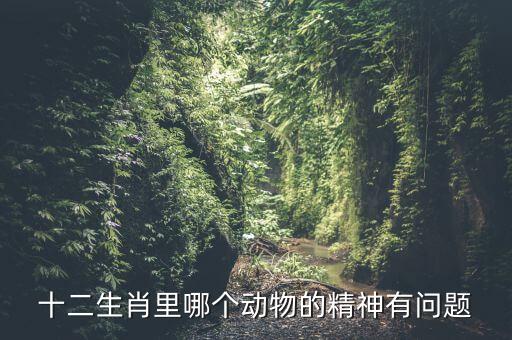 什么動(dòng)物精神不正常，十二生肖里哪個(gè)動(dòng)物的精神有問(wèn)題