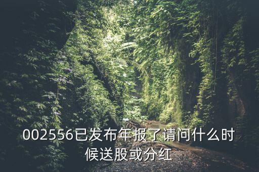 深圳能源什么時(shí)候送股，深圳能源什么時(shí)候送股